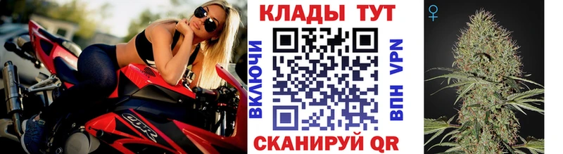 Купить наркотики сайты Жердевка ГАШИШ  Кокаин  Меф мяу мяу  МАРИХУАНА 