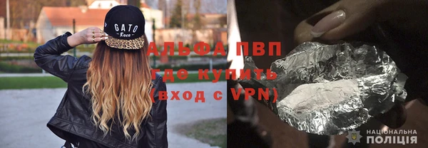 шишки Михайловск