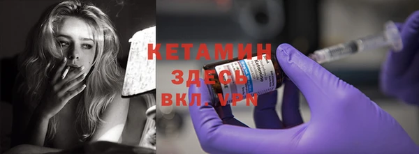 шишки Михайловск