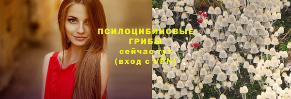 шишки Михайловск