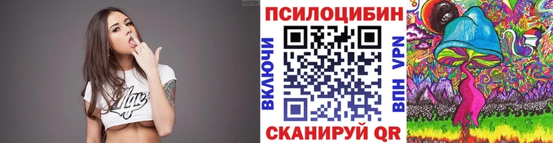 сколько стоит  Жердевка  Псилоцибиновые грибы Cubensis 